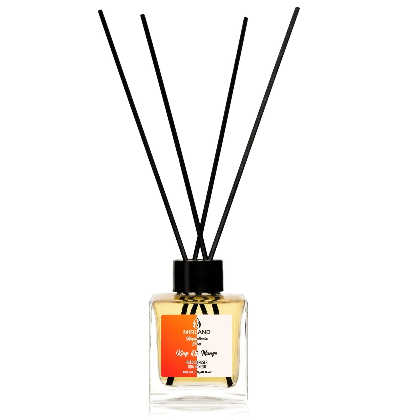 Key of Mango Raumduft - 100 ml