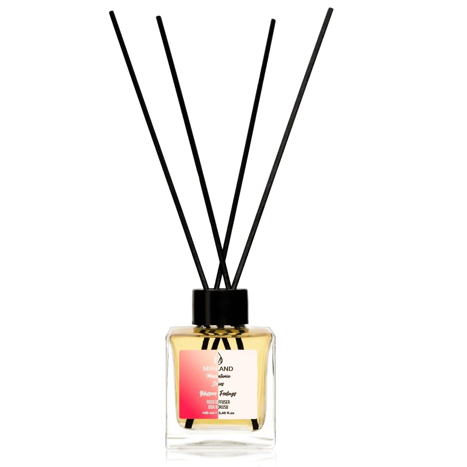 Sweet Melon Raumduft - 100 ml